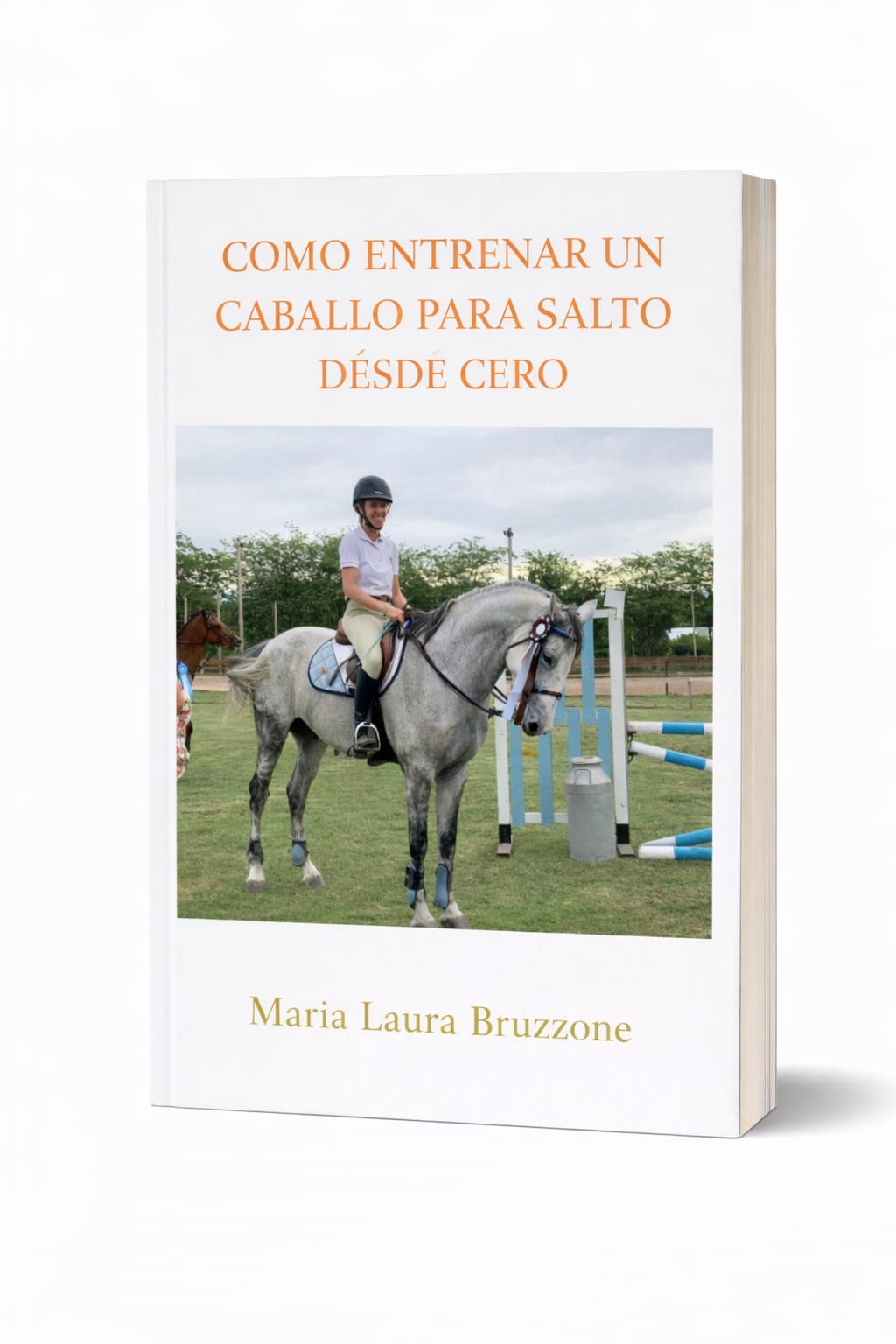 Cómo entrenar un caballo para salto desde cero